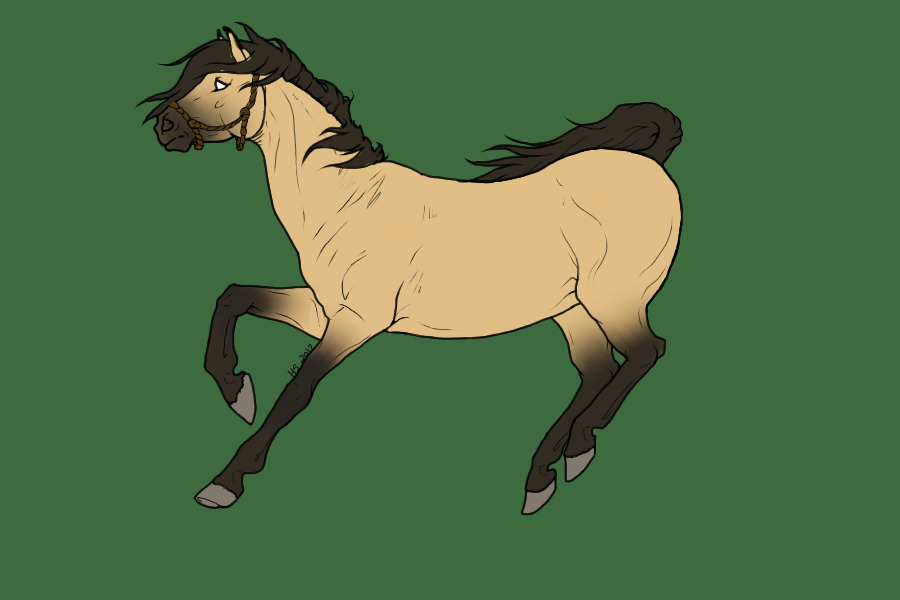Dun Horse
