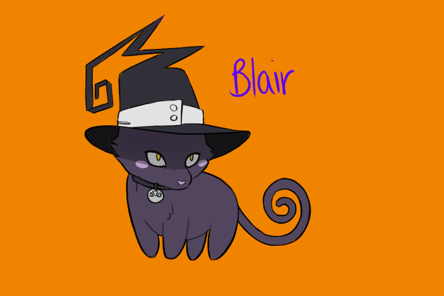 #6 SE Blair cat fox