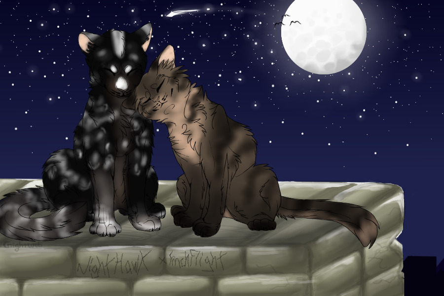 Nighthawk and Finchflight