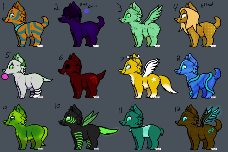Pup Adoptables