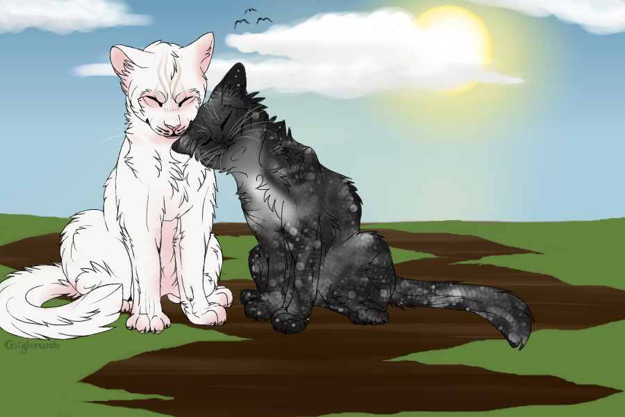 Black 'n White [Bearstar x Ashenfrost]