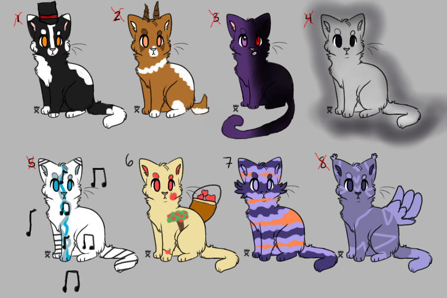 Cat Adoptables!