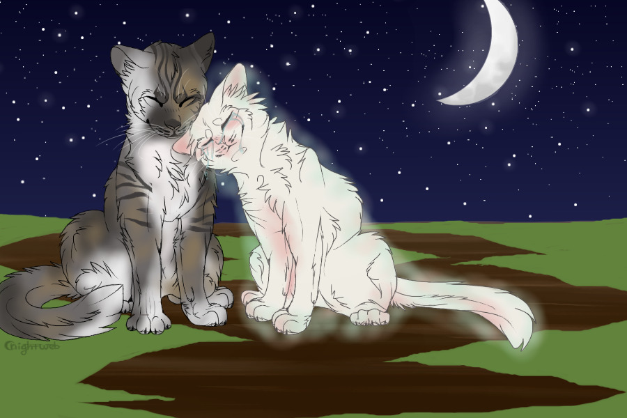 Love through it all... Even in death [Harebelly x Dove]