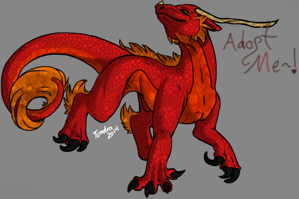 Natrix Dragon Adult #2