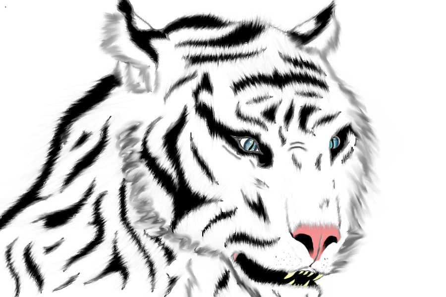 tiger pride adopts
