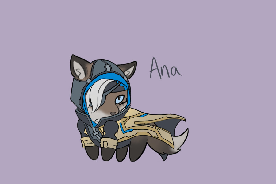 #13 OW Ana fox