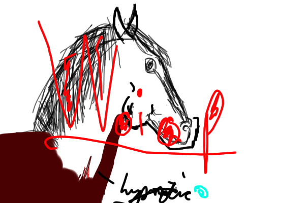 W.I.P horse