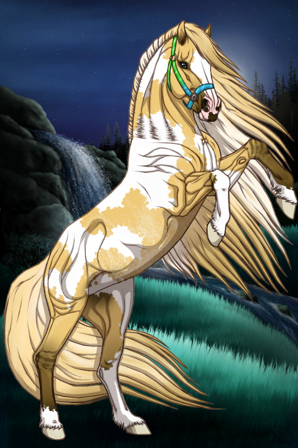 ~❊~ #204 Midnight Stallions ~❊~