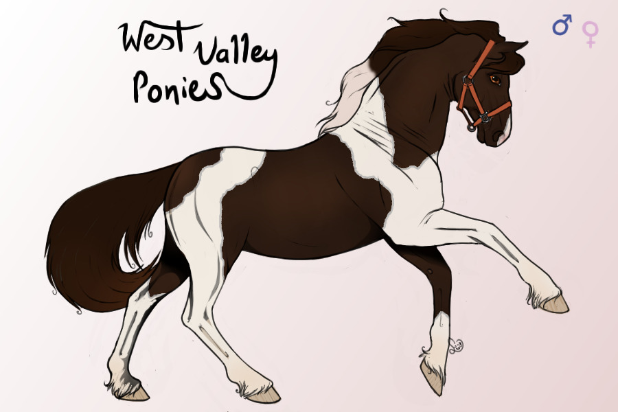 West Valley Ponies V.2 | Grand Opening |