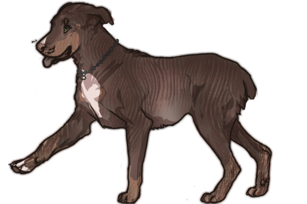 Sweetnose Mastiff #192