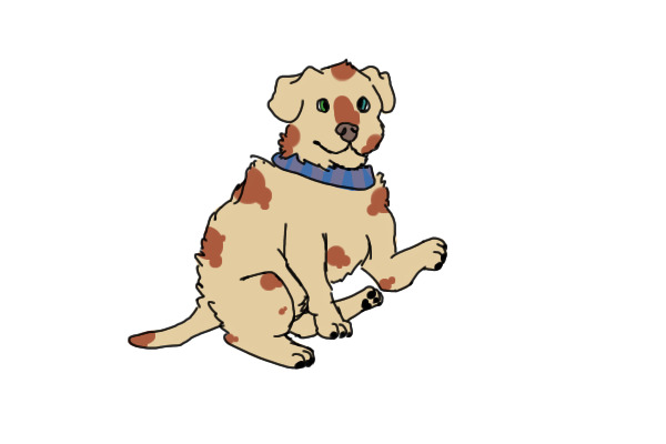 Labrador Puppy Adoptable #002