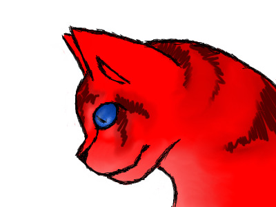 Red cat