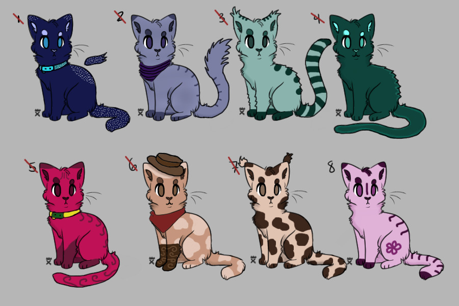 Cat Adopts For Sale!