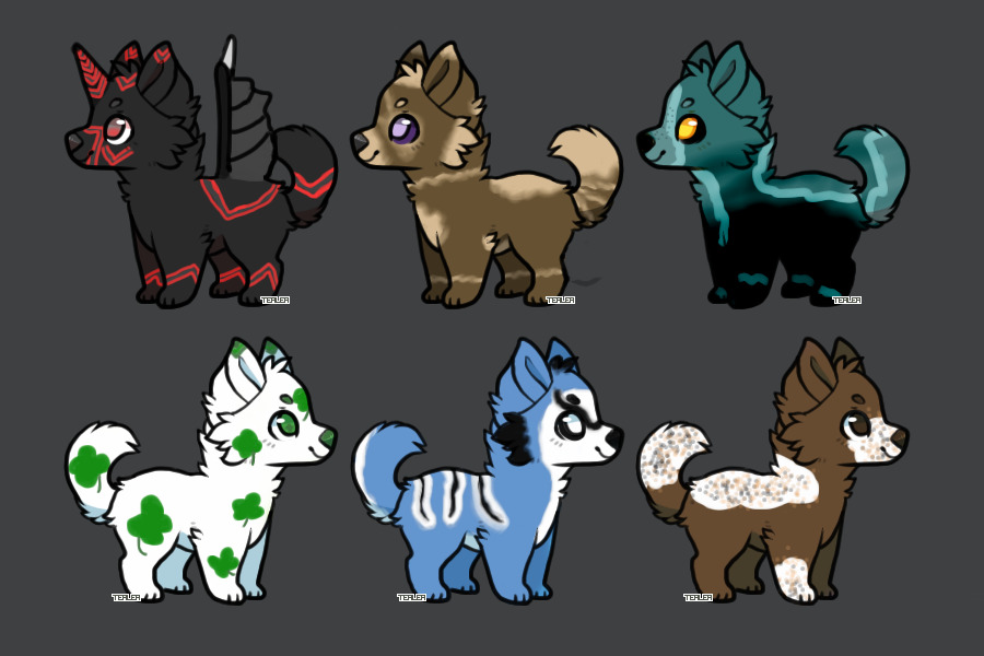 Puppy adopts!