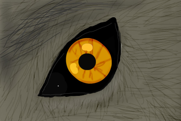 Wolfs Eye