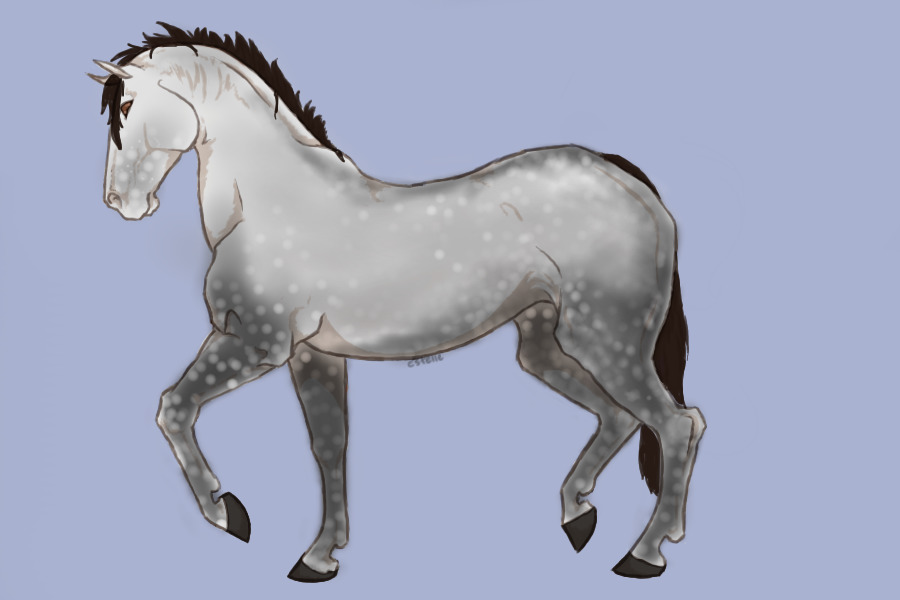 Gray dapple horse adoptable