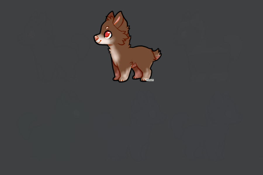 Puppy for Roxxy_Cupid