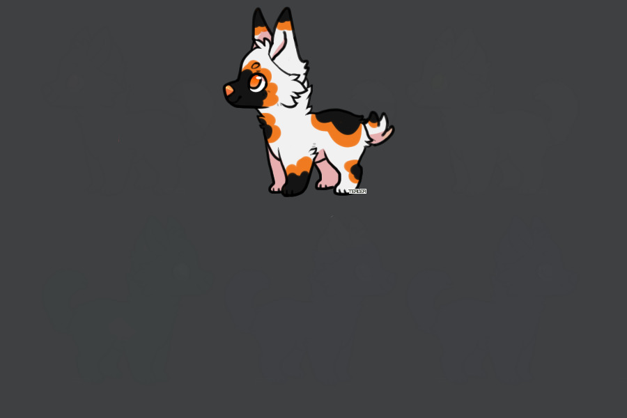 Puppy for pepermint