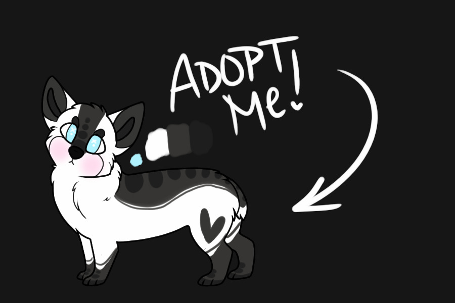 ADOPT ME / Corgi / CLOSED