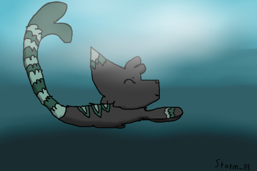 Dog\Cat Fish adoptable!
