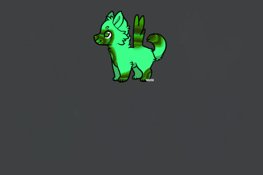 Custom for WildKiwi