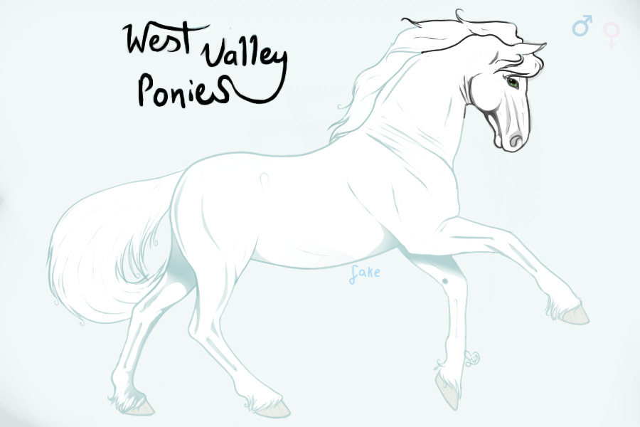 West Valley Ponies Artist Search