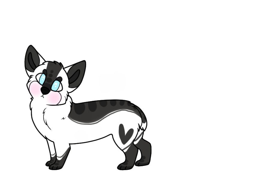 transparent for winner