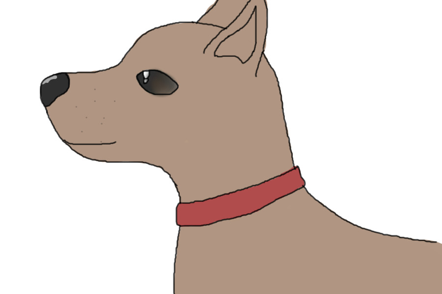 A brown dog (coloured in)