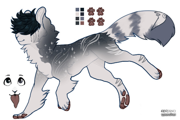 cain transparent ref