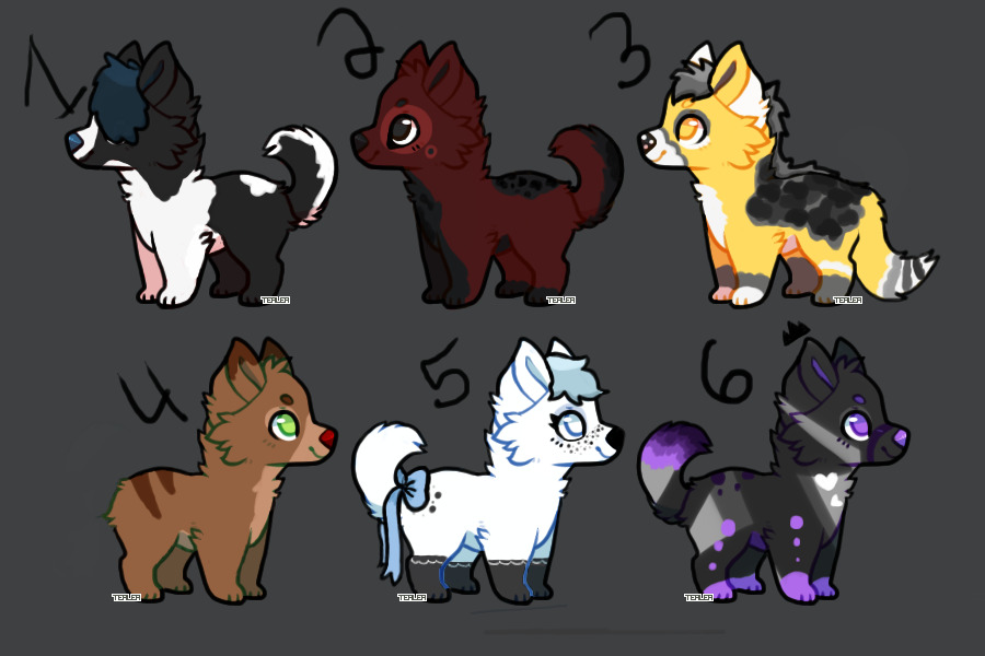 Pupper Adopts (None available)