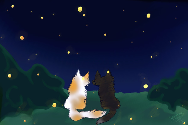 Fireflies and Dreamers | First Drawing I've Done!~