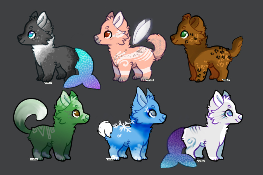 Cheap Adopts for Tokens!