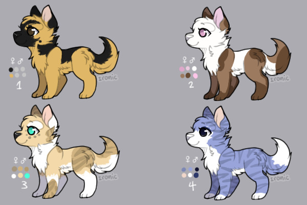 adopts for tokens/pets/c$ - pwyw