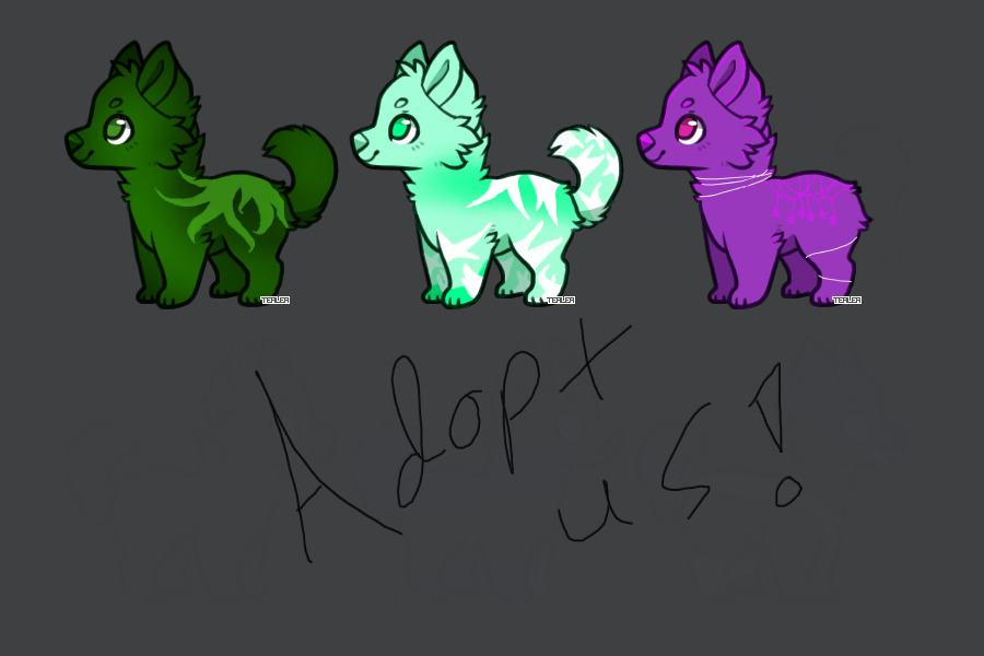 Pup adoptables
