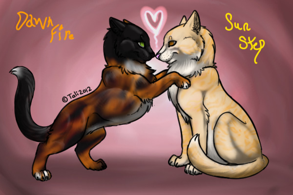 Dawnstep/Sunfire- Dawnfire x Sunstep