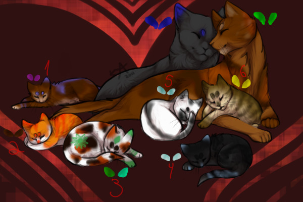 Simba x Butterflywing