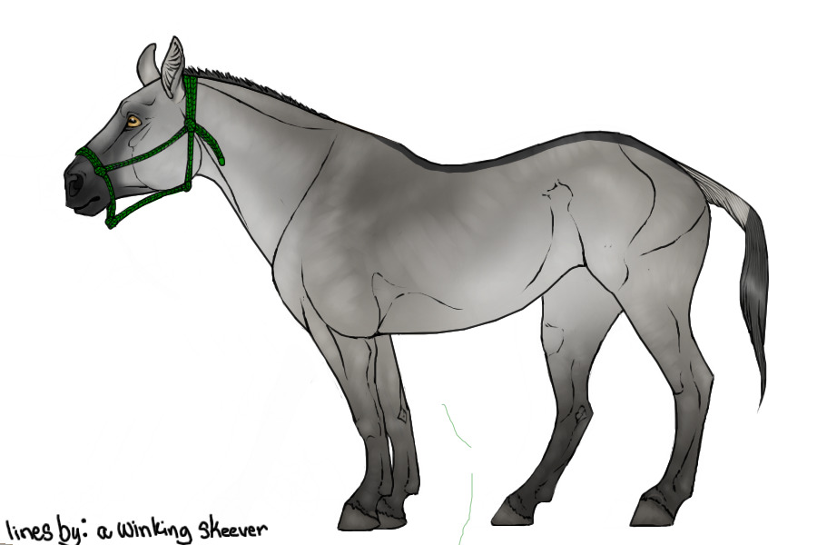 RFES #024 - Grey Mule