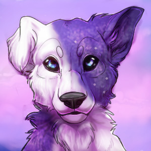 Nova - Pastel Galaxy Pupper