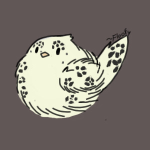 Snowleopard birb