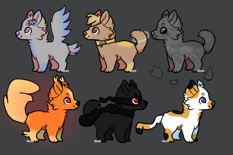 Puppy adopts! CLOSED