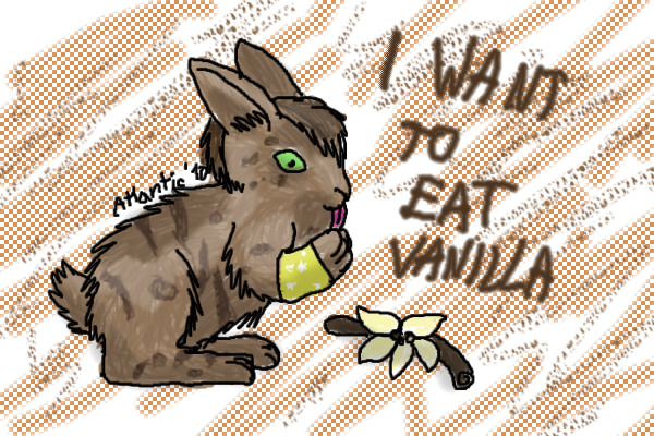 I want to eat Vanilla