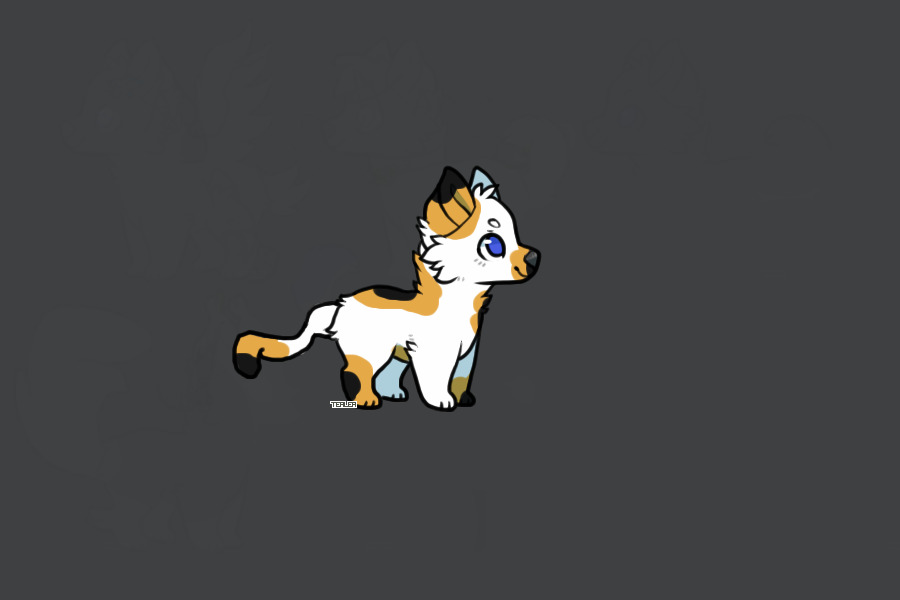 The pup named Milly!