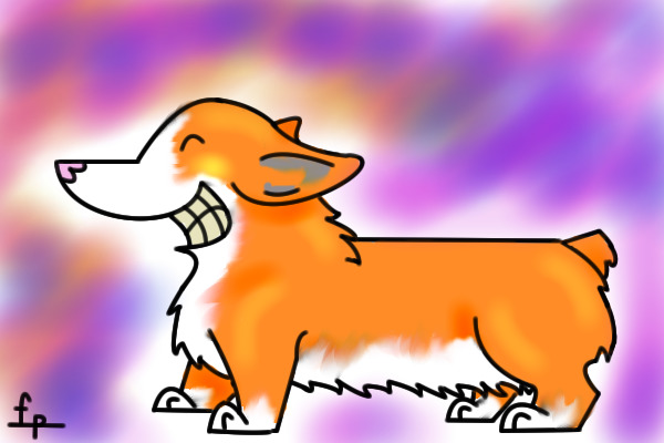 Corgi!