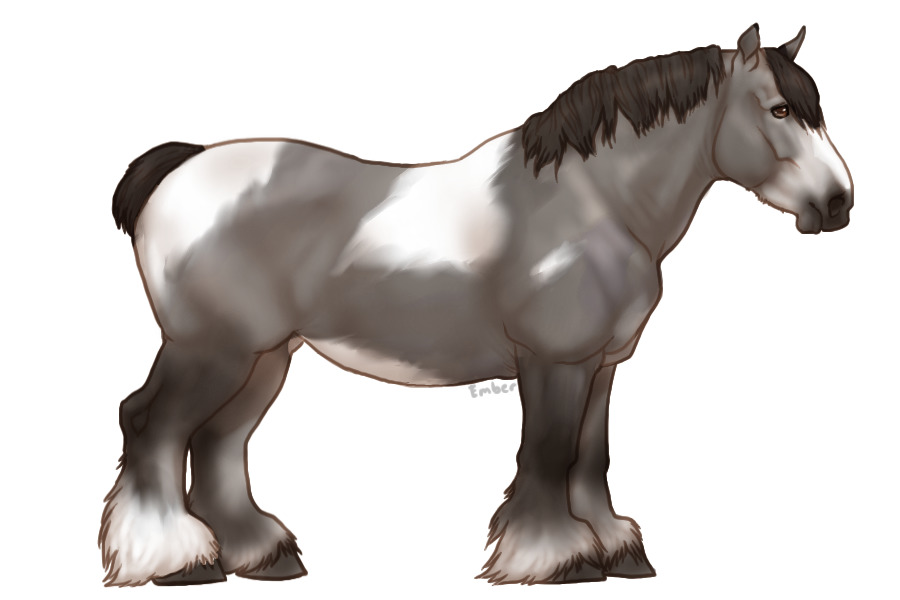 Horse Character