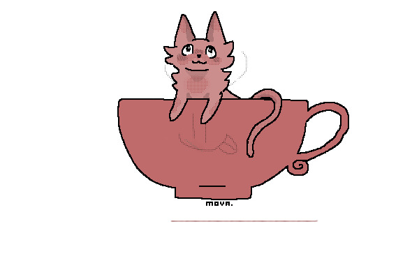 teacup kitty