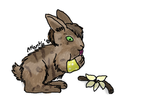I want to eat Vanilla (without background)
