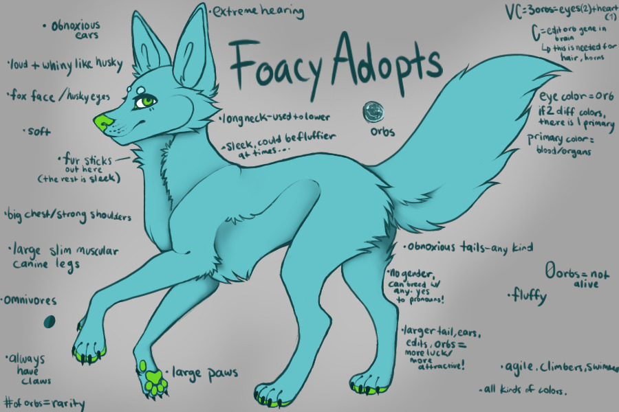 Foacy Adopts IN SEARCH OF ARTISTS!