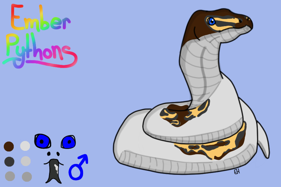 Ember Pythons The Snakes