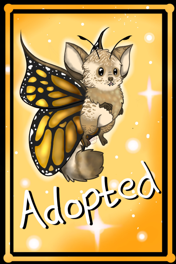 Batterfly #5 - Winner