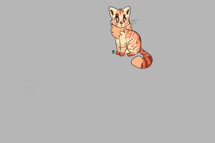 Cat!